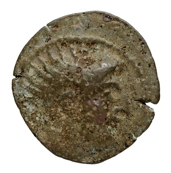 Seleucid Coins (part 2) 2456.1, аверс, bnf-hrc
