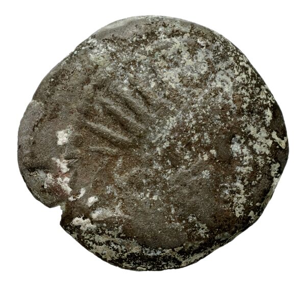 Seleucid Coins (part 2) 2456.2, аверс, bnf-hrc
