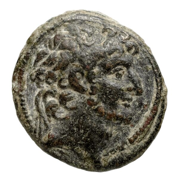 аверс Seleucid Coins (part 2) 2442