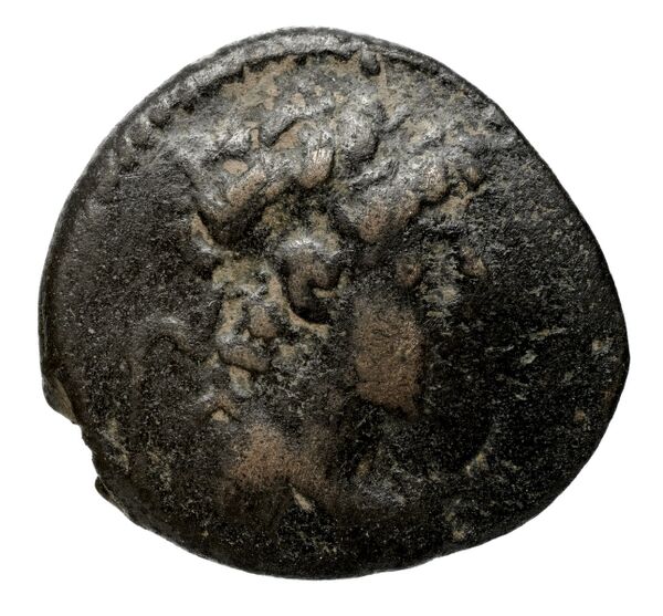 Seleucid Coins (part 2) 2473, аверс, bnf-hrc