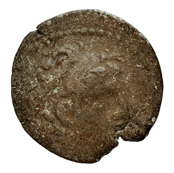 Seleucid Coins (part 2) 2477, аверс, bnf-hrc
