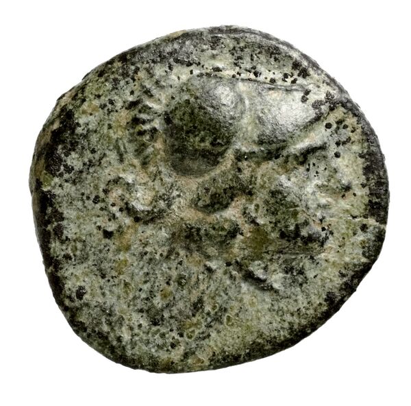 аверс Seleucid Coins (part 1) Ad31