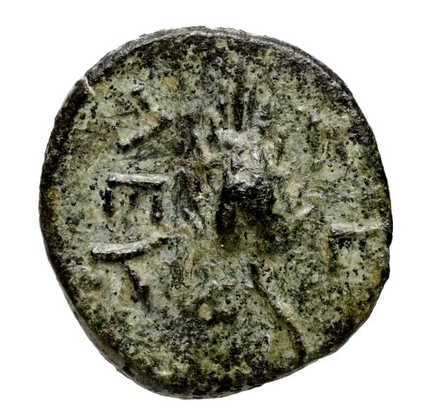 реверс Seleucid Coins (part 1) Ad31
