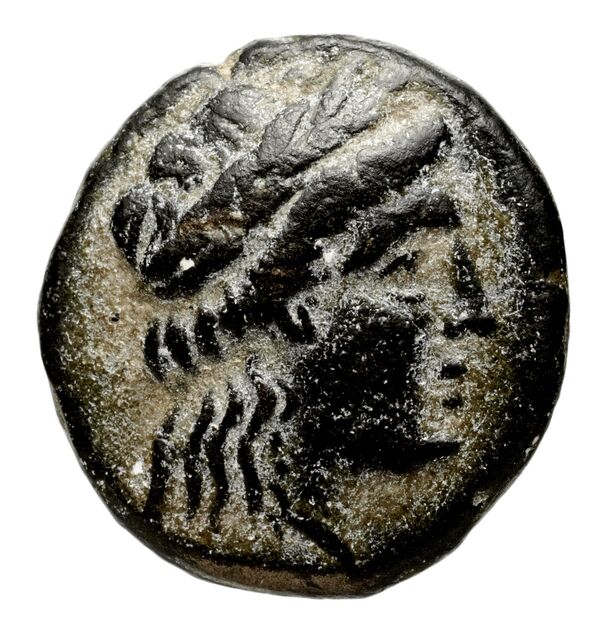 аверс Seleucid Coins (part 1) 526.3