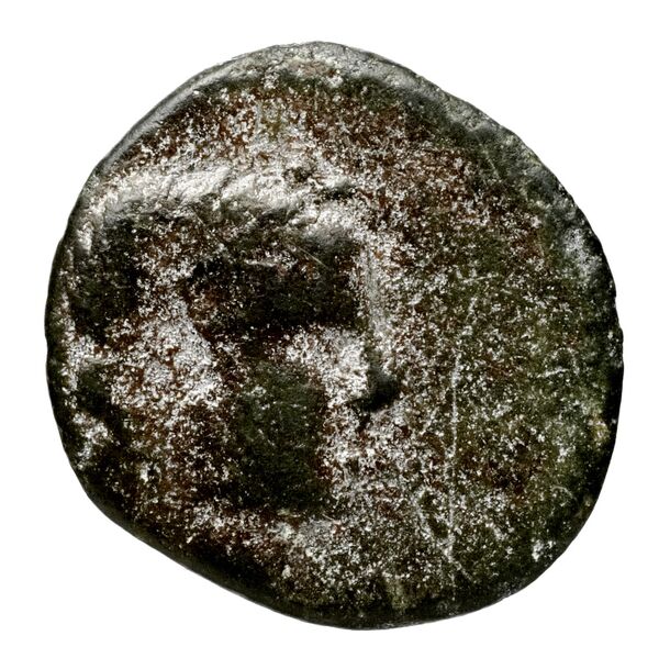 аверс Seleucid Coins (part 1) 982