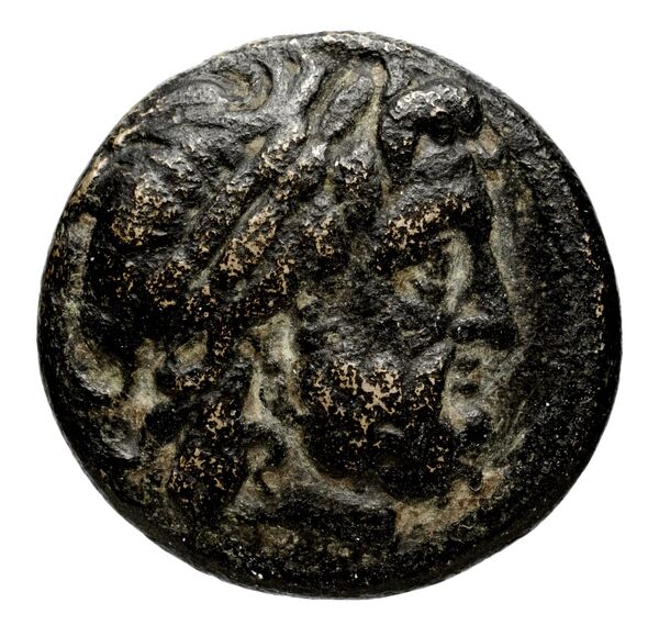 Seleucid Coins (part 1) 355, аверс, bnf-hrc