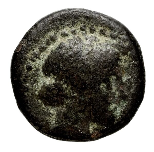 Seleucid Coins (part 1) 979, аверс, bnf-hrc