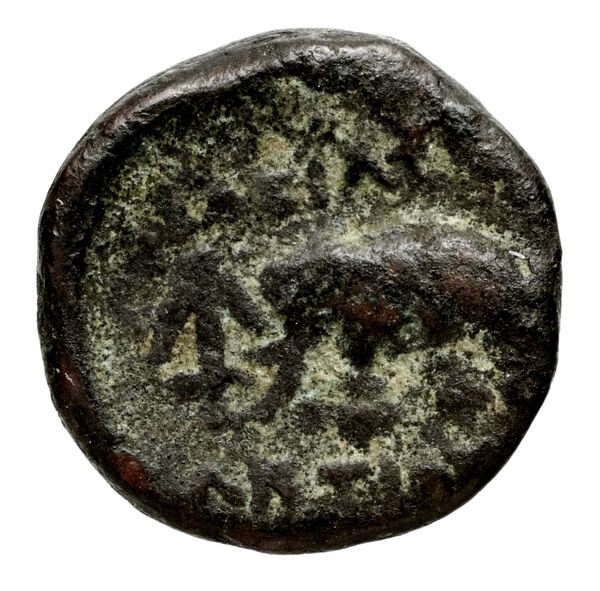 Seleucid Coins (part 1) 979, реверс, bnf-hrc