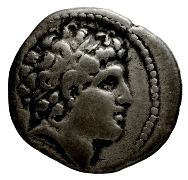 Seleucid Coins (part 2) 1785, аверс, bnf-hrc