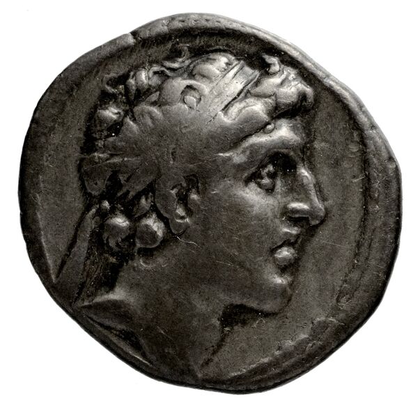 аверс Seleucid Coins (part 2) 1785.1k