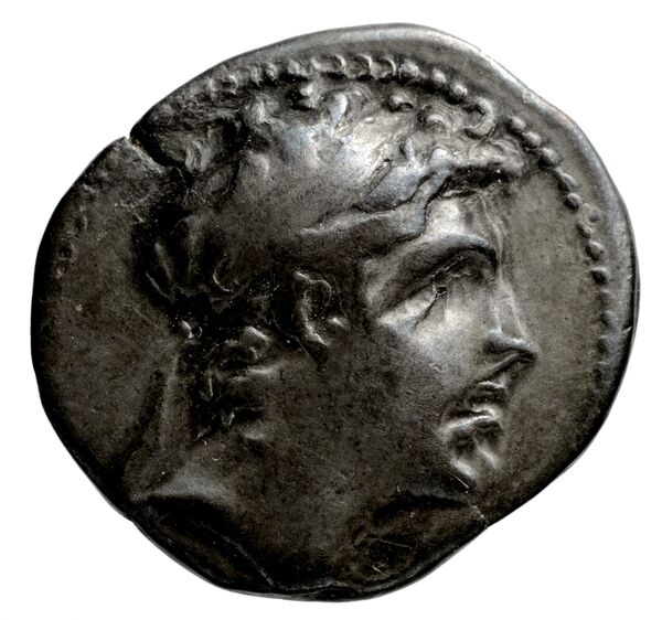 аверс Seleucid Coins (part 2) 1785.1l