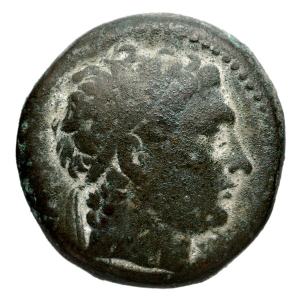 Seleucid Coins (part 1) 1275a, аверс, bnf-hrc