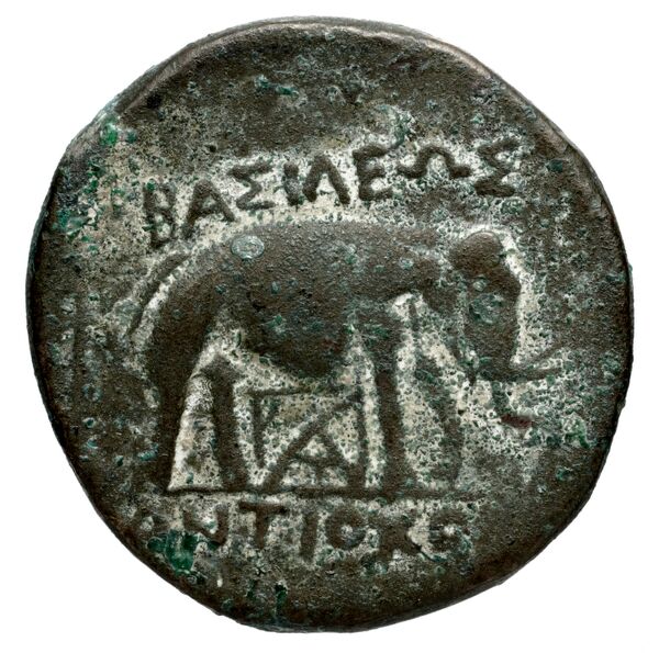 Seleucid Coins (part 1) 1275a, реверс, bnf-hrc