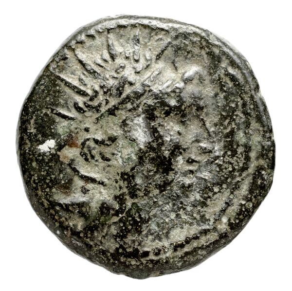 аверс Seleucid Coins (part 2) 2074.1