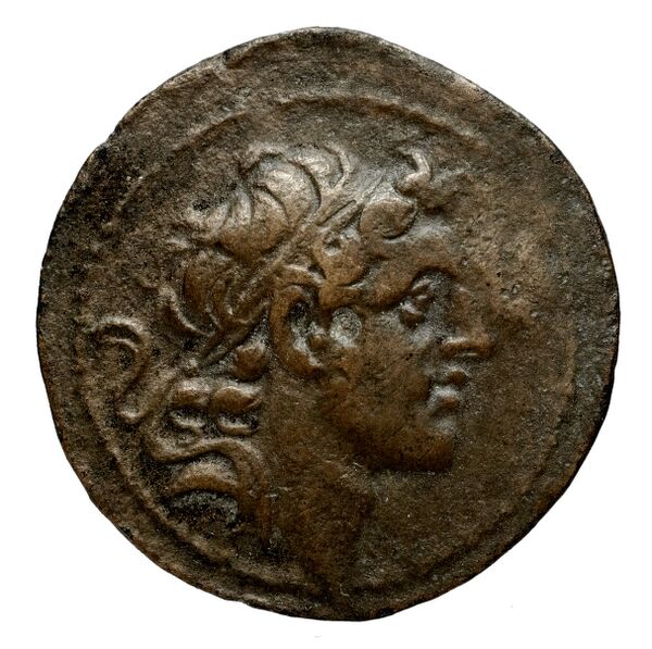 Seleucid Coins (part 2) 1804a, аверс, bnf-hrc