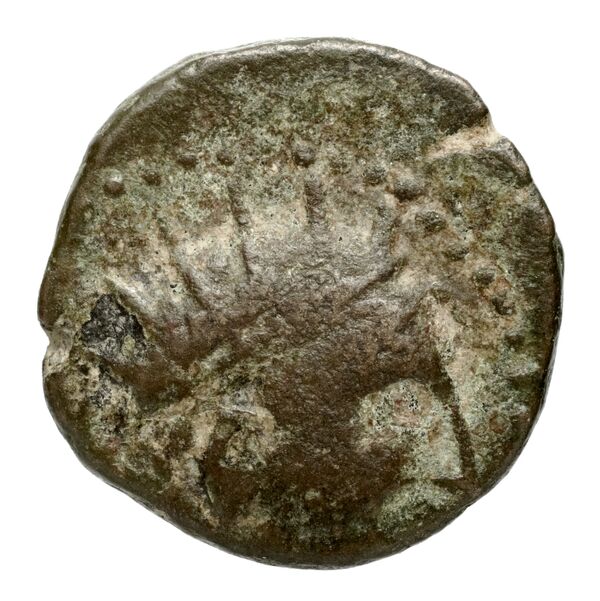 аверс Seleucid Coins (part 2) 1500