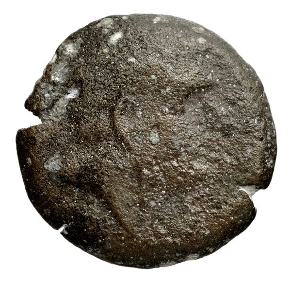 аверс Seleucid Coins (part 1) 1257