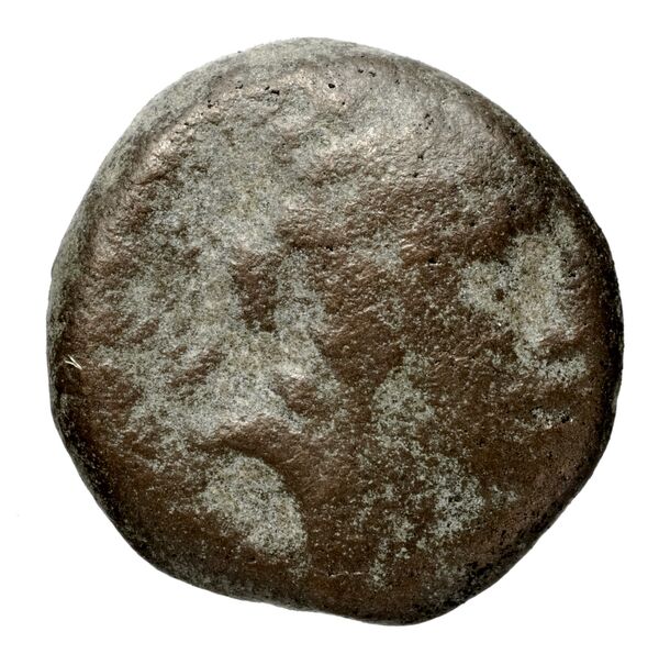 Seleucid Coins (part 1) 1257, аверс, bnf-hrc