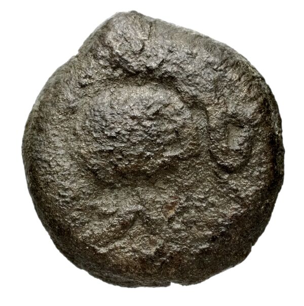 Seleucid Coins (part 1) 1182, аверс, bnf-hrc