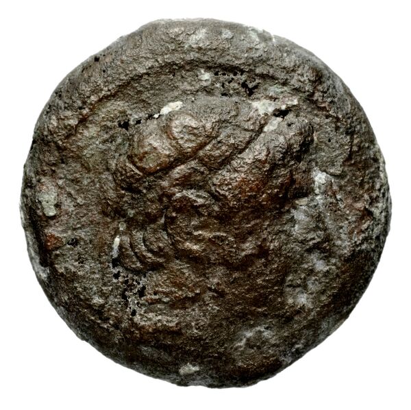 Seleucid Coins (part 1) 781, аверс, bnf-hrc