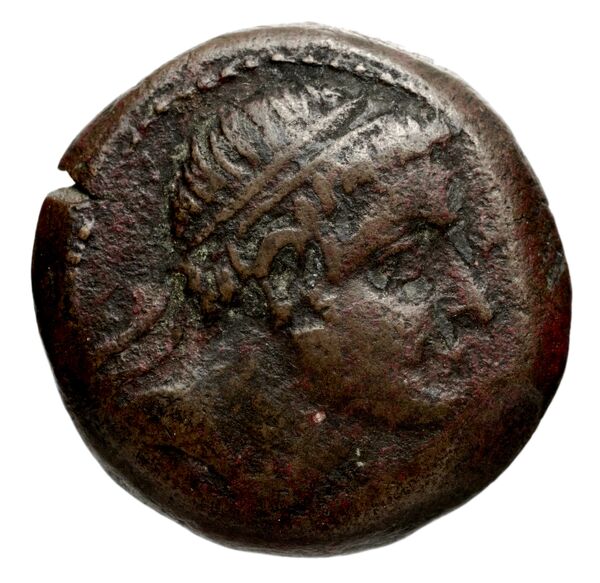 аверс Seleucid Coins (part 1) 1243.1