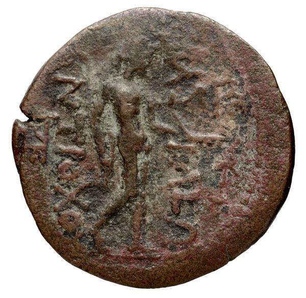 реверс Seleucid Coins (part 1) 1243.1