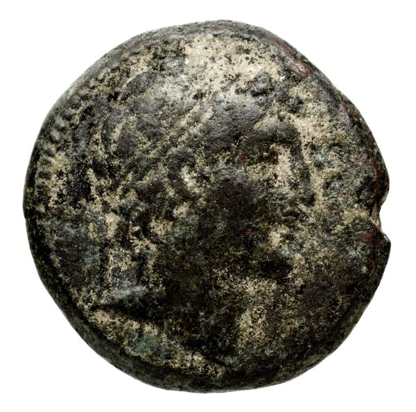 Seleucid Coins (part 2) 1806a, аверс, bnf-hrc