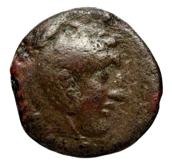 аверс Seleucid Coins (part 1) 657.11