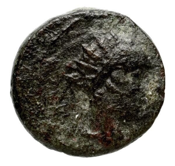 аверс Seleucid Coins (part 2) 1489.1