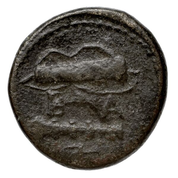 Price 386, реверс, bnf-hrc