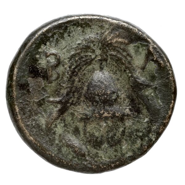 Price 2806, реверс, bnf-hrc