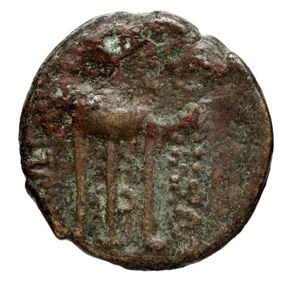 реверс Seleucid Coins (part 1) 972