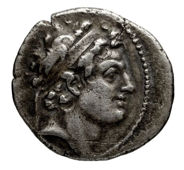 Seleucid Coins (part 2) 1886f, obverse, bnf-hrc