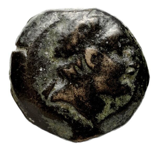 obverse Seleucid Coins (part 2) 2129.1