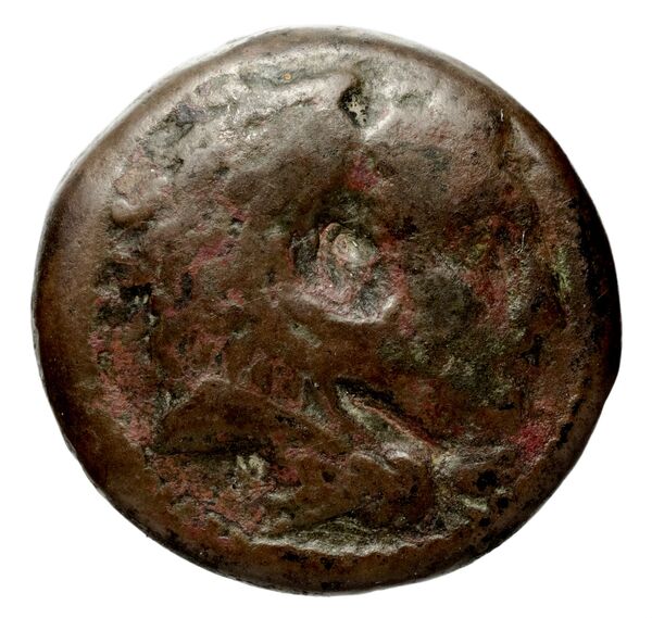 аверс Seleucid Coins (part 1) 265a