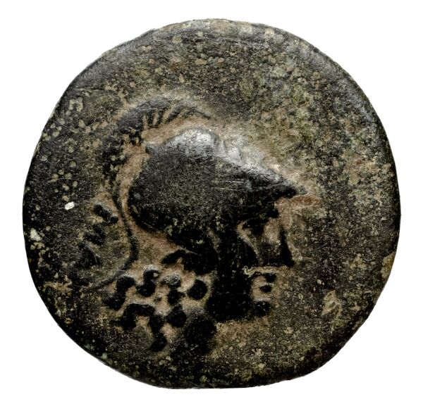 аверс Seleucid Coins (part 1) 1095.1