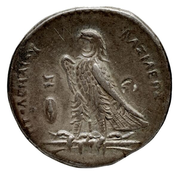 Coins of the Ptolemaic Empire Vol. I, Part 1, no. 288, реверс, bnf-hrc