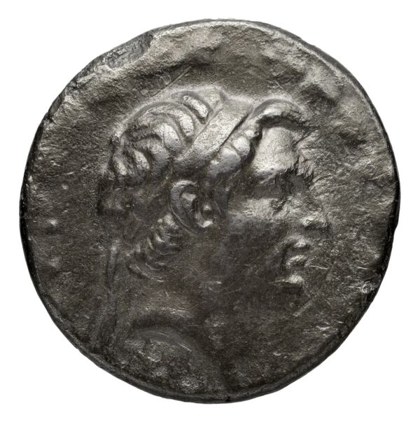 аверс Seleucid Coins (part 2) 1637e