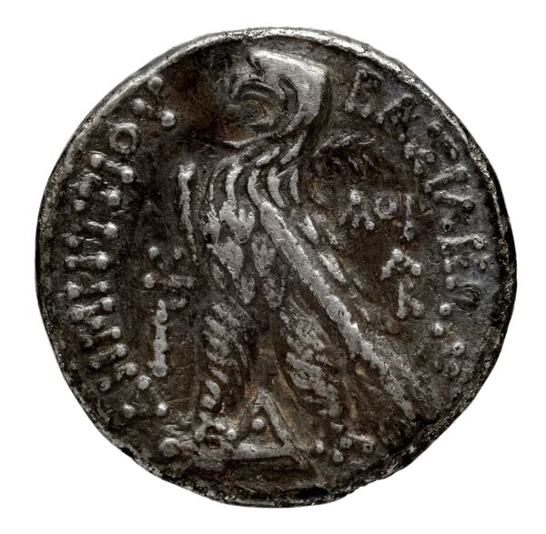 реверс Seleucid Coins (part 2) 1963.5