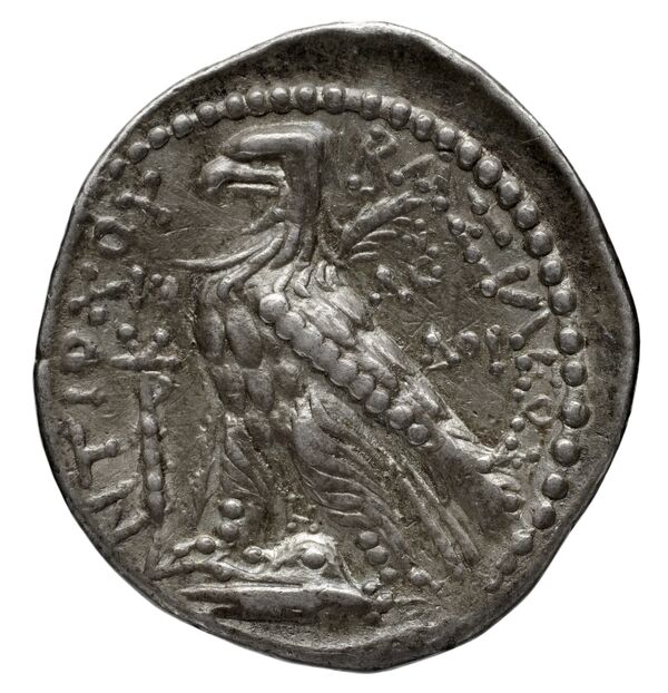 реверс Seleucid Coins (part 2) 2109