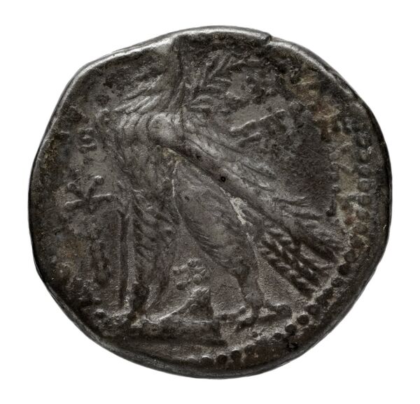 реверс Seleucid Coins (part 2) 2196.5a