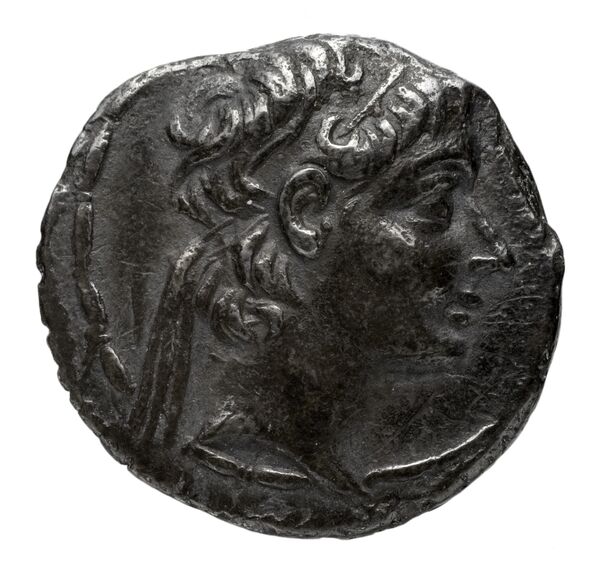 obverse Seleucid Coins (part 2) 2249.1