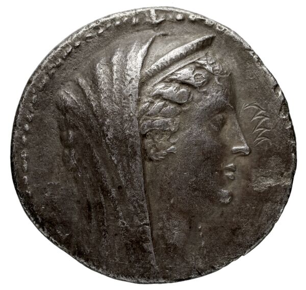 Coins of the Ptolemaic Empire Vol. I, Part 1, no. 379, аверс, bnf-hrc