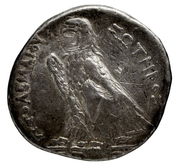 Coins of the Ptolemaic Empire Vol. I, Part 1, no. 379, реверс, bnf-hrc