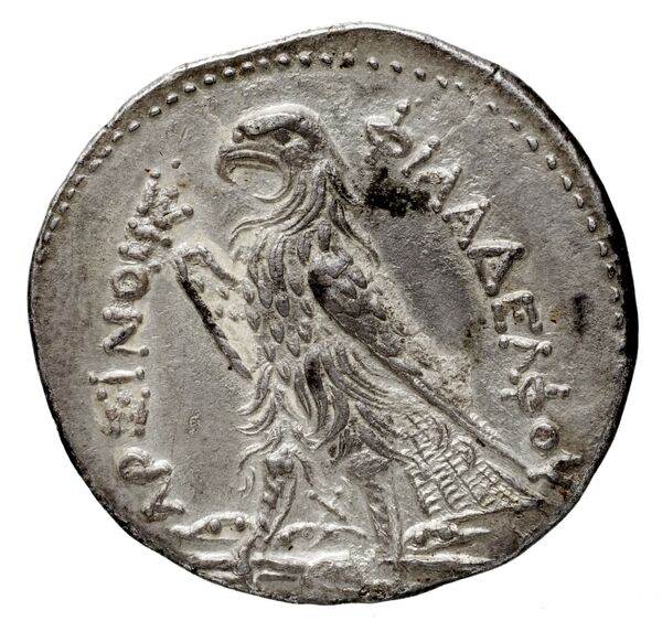 Coins of the Ptolemaic Empire Vol. I, Part 1, no. 384, реверс, bnf-hrc
