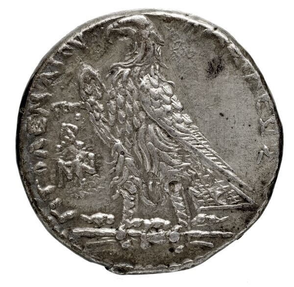 Coins of the Ptolemaic Empire Vol. I, Part 1, no. 442, reverse, bnf-hrc