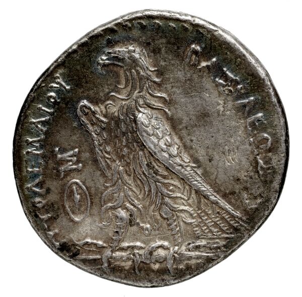 Coins of the Ptolemaic Empire Vol. I, Part 1, no. 295, реверс, bnf-hrc