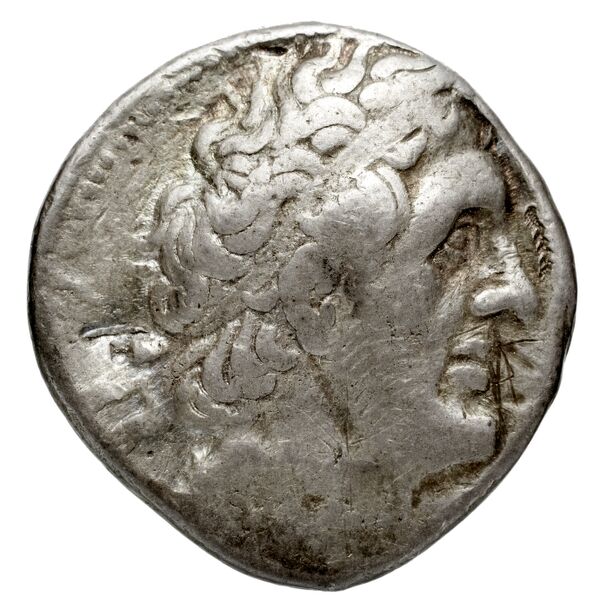 Coins of the Ptolemaic Empire Vol. I, Part 1, no. 558, аверс, bnf-hrc