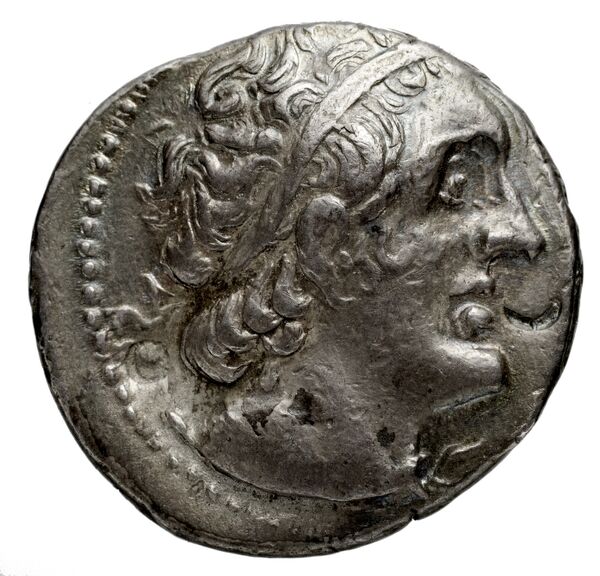 Coins of the Ptolemaic Empire Vol. I, Part 1, no. 561, obverse, bnf-hrc