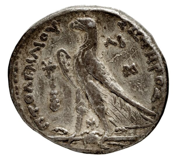 Coins of the Ptolemaic Empire Vol. I, Part 1, no. 591, реверс, bnf-hrc